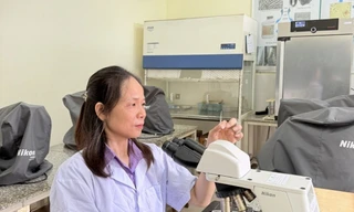 Nữ đoàn viên Công đoàn gieo 'mầm xanh' tri thức từ những nghiên cứu vì nông nghiệp bền vững