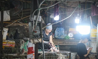 Nhếch nhác những điểm giết mổ gia cầm tại chợ dân sinh Hà Nội