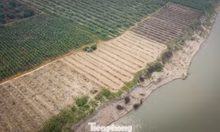  Cận cảnh mỏ cát ở Hà Nội cung ứng vật liệu xây dựng dự án sân bay Gia Bình 