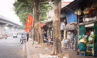 Phố Cầu Mới thông thoáng bất ngờ sau khi 'xóa sổ' chợ tự phát