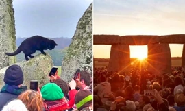 Mèo đen xuất hiện ở vòng tròn đá cổ Stonehenge đúng bình minh ngày Đông Chí