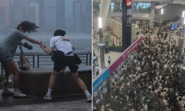 Bão Wipha gây thiệt hại ước tính hơn 6.600 tỷ đồng ở Hong Kong dù không đổ bộ