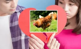 Vợ chồng chia tài sản ly hôn là 29 con gà, tòa phán quyết vừa khéo vừa hài