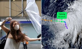 Thực hư tin bão số 12 Hạ Long xuất hiện khi bão số 11 sắp ảnh hưởng miền Bắc