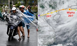 Bão số 3 Wipha có thể mạnh lên khi vào Vịnh Bắc Bộ, dự báo ở cấp mấy khi đổ bộ?