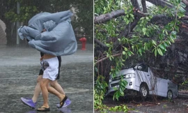 Bão số 3 Wipha gây gió giật trên cấp 17 tại Hong Kong, sức gió vượt 234 km/h