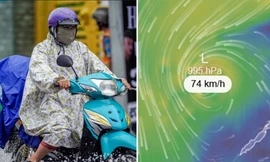 Thông tin cơn bão Chim Én sẽ vào Biển Đông thành bão số 16: Thực hư ra sao?