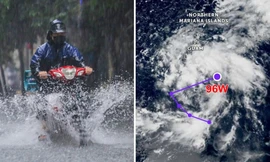 Vùng áp thấp gần Philippines có thể thành bão số 12, dự báo hướng đi ra sao?