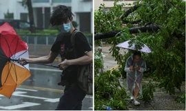 Bão số 3 Wipha có thể đổ bộ nước ta ở cấp 10 - 11, mức độ nguy hiểm thế nào?