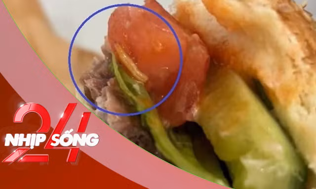NHỊP SỐNG 24: Làm rõ vụ dòi lúc nhúc trong bánh hamburger