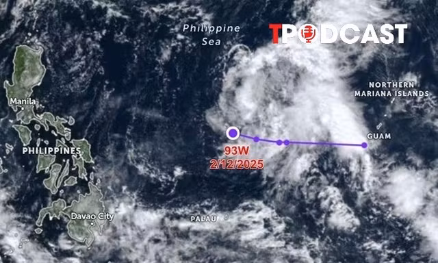 NÓNG 2/12: Thực hư thông tin cơn bão Chim Én sẽ vào Biển Đông thành bão số 16?