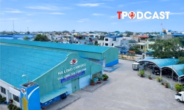 NÓNG 15/1: Vụ Công ty CP đồ hộp Hạ Long: Một nữ cán bộ ra đầu thú