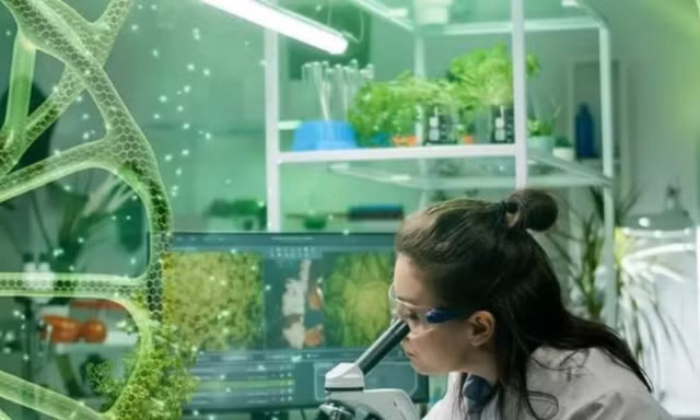 Phát triển công nghiệp sinh học, thay thế tối thiểu 50% sản phẩm nhập khẩu