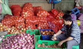 Tràn ngập nông sản Trung Quốc