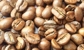 Toàn cảnh quy trình sản xuất cà phê bán tự động ở Brazil