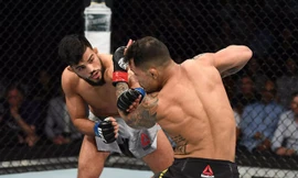 Nasrat Haqparast ra đòn cực mạnh hạ knock-out đối thủ.