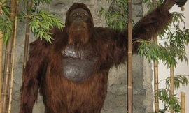 Gigantopithecus, phiên bản có thật của King Kong