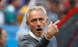 Thua trận, HLV Australia vẫn châm biếm hàng công tuyển Pháp