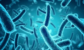 Bao quy đầu ở nam giới gây ra 37% viêm nhiễm âm đạo cho bạn tình