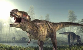 Bí mật trong 'DNA' giúp loài khủng long thống trị Trái Đất