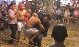 Võ sĩ tấn công trọng tài.