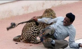 Kinh hoàng cảnh báo tấn công người dân ở Ấn Độ