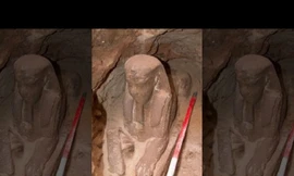 Tượng nhân sư tuyệt đẹp được phát hiện tại ngôi đền Ai Cập cổ đại