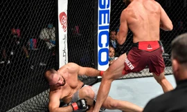 Pha ra đòn của Jiri Prochazka khiến đối thủ bất tỉnh.