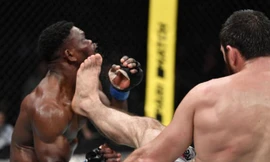 Magomed Ankalaev ra đòn hạ gục đối thủ.