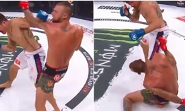 Tony Johnson hạ nock-out Joe Schilling.