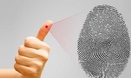 Vì sao chúng ta có dấu vân tay?