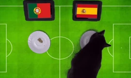 Mèo đen Cass dự đoán kết quả giữa Bồ Đào Nha và Tây Ban Nha tại World Cup 2018