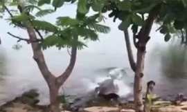 Chơi đùa bên bờ sông, chú chó nhận cái kết đắng