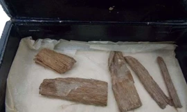 Những mảnh gỗ tuyết tùng được đựng trong hộp đựng xì gà.