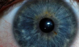 Mắt người có thế nhìn ra 'ảnh ma'