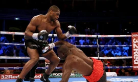 Daniel Dubois hạ gục đối thủ.