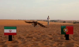 "Tiên tri" chim cắt dự đoán Bồ Đào Nha sẽ đánh bại Iran.