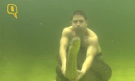 Người đàn ông 'vui đùa' với trăn Nam Mỹ dưới nước