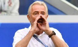 Australia bị loại, HLV Van Marwijk chính thức ra đi