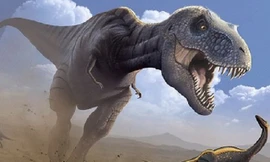 Những hiểu biết sai lầm của chúng ta về khủng long bạo chúa 