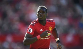 Pogba đang trở thành "mồi câu ngôi sao" của M.U.