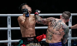 Liam Harrison ra đòn hạ gục đối thủ.