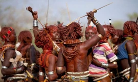 Lễ hội nhảy bò.