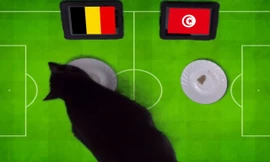 Mèo đen Cass dự đoán Bỉ sẽ đánh bại Tunisia.