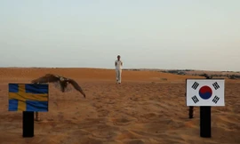 "Tiên tri" chim cắt dự đoán Thụy Điển sẽ giành chiến thắng trước Hàn Quốc.