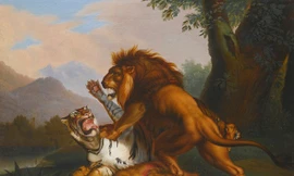 Đại chiến các loài động vật, ai là kẻ chiến thắng? 