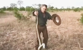 Người đàn ông dùng tay không bắt trăn vô cùng điêu luyện