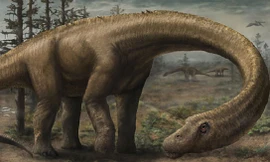 Loài khủng long lớn nhất từng tồn tại trên Trái Đất 
