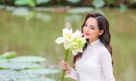 Đầm sen trắng nở sớm thu hút người dân Hà thành chiêm ngưỡng