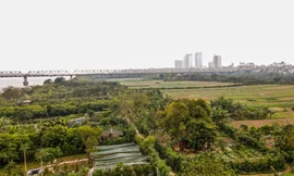 Cận cảnh khu vực bãi giữa sông Hồng dự kiến làm công viên văn hóa